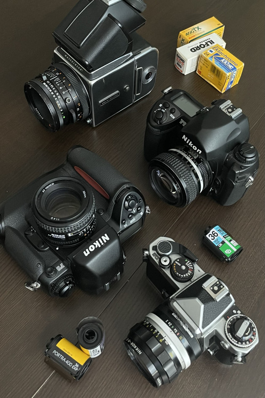 film-cameras-large
